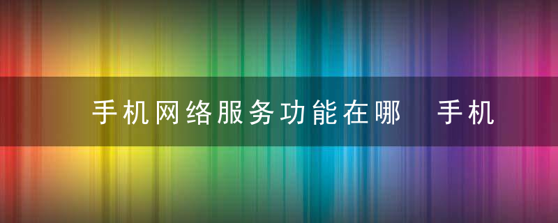 手机网络服务功能在哪 手机网络服务功能如何打开